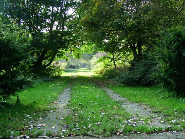 Allée jardin